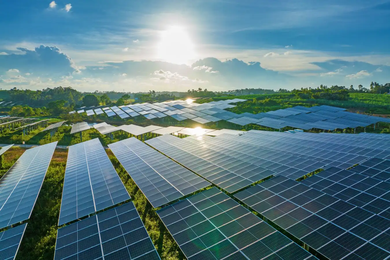 Solar Field